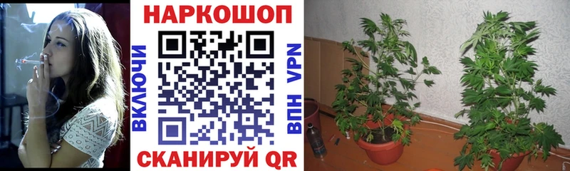 Сколько стоит Мончегорск Кокаин  кракен ONION  АМФЕТАМИН  Меф  А ПВП 