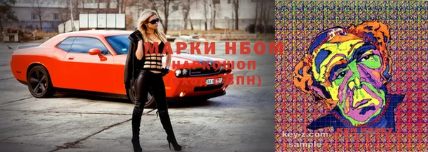 ALPHA PVP Бородино