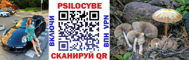 blacksprut как войти  продажа наркотиков  Мончегорск  Галлюциногенные грибы GOLDEN TEACHER 